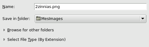 The basic Save Image dialog