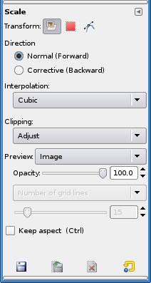 Tool options for the Scale tool