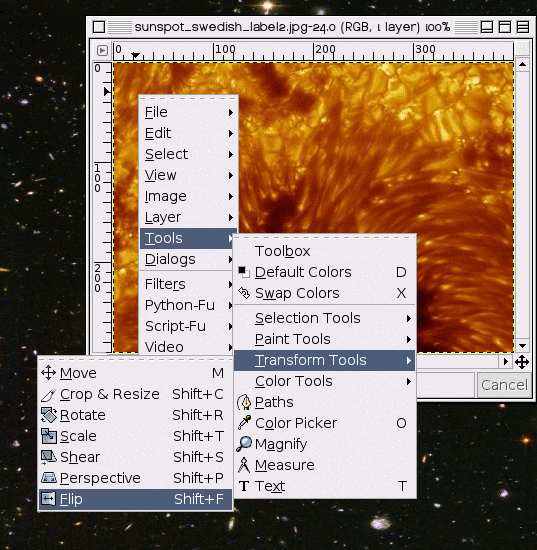 Dialog Flip an Image