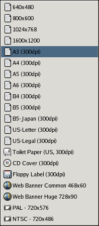 The Create a New Image dialog El diálogo Crear una imagen nueva.